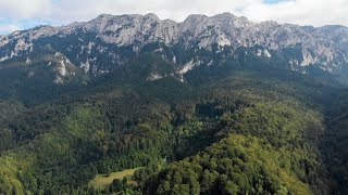 Plaiul Foii by Drone | Piatra Craiului Mountains | Zarnesti | Romania | 4K