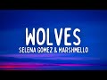 Selena Gomez & Marshmello - Wolves (Lyrics)