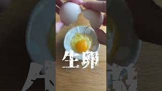 【大失敗】マグカップで温玉作れるようになりたい #shorts #ショート動画 #温泉たまご #マグカップ #失敗