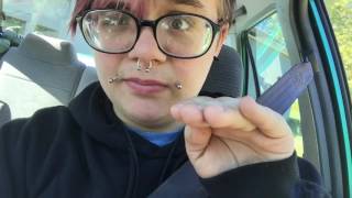 My First Car Accident | Toxic Storytime
