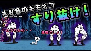 大狂乱のキモネコ　すり抜けして攻略　にゃんこ大戦争　ムキフェス