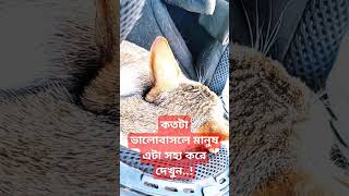 কতটা ভালবাসলে #popular #emotionel #motivation #shortsyoutube #recipe #catlover #catshorts #foryou #