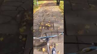 Autumn 🍂 Ride On My Raleigh Aero Pro Burner 35th Anniversary Edition