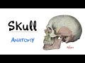 Introduction to Head & Neck Anatomy - The Skull Bones - Anatomy Series