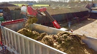 TRYING TO SELL THE LOT... CLAMP SILAGE!​