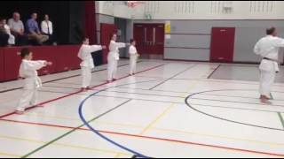 Traditional Karate Ontario