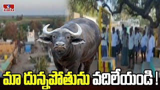 జిల్లా స్థాయికి చేరుకున్న దున్నపోతు గొడవ | Dunnapothu Issue Becomes Complicated | hmtv