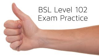 BSL Level 102 exam practice