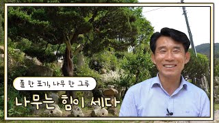 나무는 힘이 세다ㅣ영남 라디오스타 (KBS 2024.06.12 수 방송)