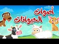 أنشودة أصوات الحيوانات للأطقال -  قناة طم طم