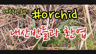 남들 눈엔 고생일지라도 나에게는 행복~^^ #난초산행 #산반  #환엽  #란쟁이tv #난초 #orchid