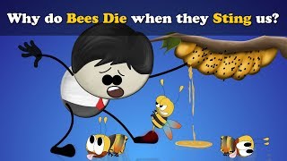 Why do Bees Die when they Sting us? + more videos | #aumsum #kids #science #education #children