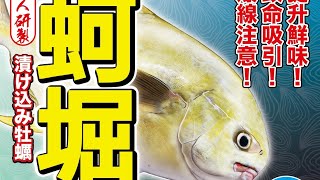 釣魚人的夢想餌 黑鯛最愛的食物 牡蠣 鮮蚵 蚵堀 チヌ 釣り餌 #生牌南極蝦