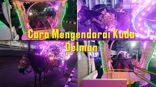 REVIEW CARA MENGENDALIKAN KUDA DELMAN | KUDA