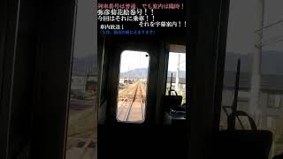 ショート動画　普通電車？？いや！臨時電車！！弥彦菊花絵巻号に乗車！！貴重な車内放送も！！#shorts