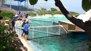 The Truth About Sea Life Park