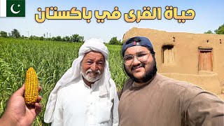 حياة القرى و المزارع في باكستان 🇵🇰 الريف الباكستاني| Village life in Pakistan