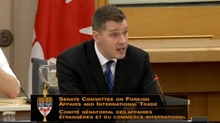 Canada needs innovation strategy - Professor de Beer tells Senate Committee