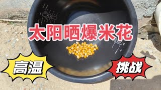 高温天气，把玉米粒放在太阳下晒一小时，能变成爆米花吗？diy/挑战/测试【阿飞啥都玩】