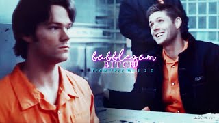 team free will 2.0 | bubblegum bitch