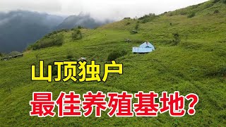 山顶发现一独户无人居住，周围几千亩荒山草地，搞养殖的好地方【乡村阿泰】