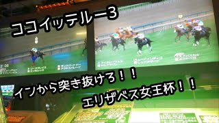 [スタホR] ココイッテルー3 古馬後半ラスト２レース！！これで引退！！