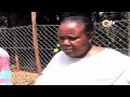 kiambu fish farming qtv