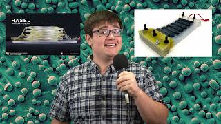 Electrostatic Actuators: HASELs