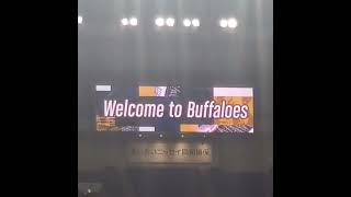 20230725【Welcome to Buffaloes】開門直後のﾋﾞｼﾞｮﾝ演出｢Welcome｣　#shorts　#オリックスバファローズ@京ｾﾗﾄﾞｰﾑ大阪･ﾚﾌﾄ外野下段