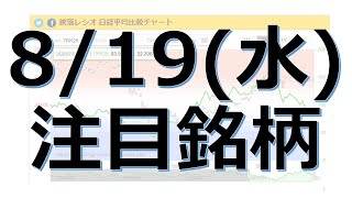 【8月19日(水)の注目銘柄】本日の株式相場振り返りと明日の注目銘柄を解説