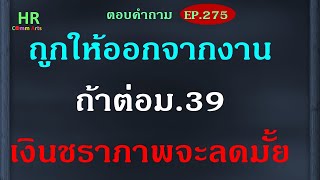 ถูกให้ออกจากงานถ้าสมัคร ม.39เงินชราภาพจะลดมั้ย【ตอบคำถามกฎหมายแรงงานและประกันสังคมEP.275】