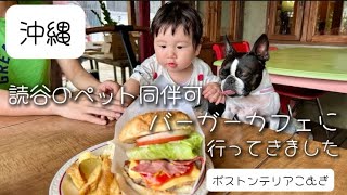 沖縄 読谷のペット同伴可バーガーカフェにいってきました 【ボストンテリア】こむぎ