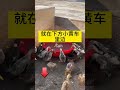 养鸡小妙招 科学养鸡 养鸡 https farming www