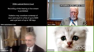 Filter makes lawyer look like cat in court Zoom call
