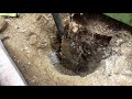 repairing rotten fence post with concrete repair spur