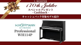 170th Jubileeスペシャルプレゼント-Cashbackキャンペーン-     対象モデル紹介－W. HOFFMANN WH 114 P