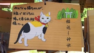 【不思議】【猫返し神社】家出猫が帰ってくる！？【帰宅報告も多数】