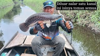 DILUAR NALAR SATU KANAL ISINYA IKAN TOMAN SEMUA😱:CENTRAL MANCING