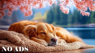 12 Hours Music to Help Dogs Sleep Deeply🐶Anti-anxiety music for dogs💖Sleep instantly in 3 minutes