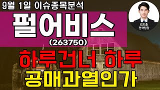 펄어비스(263750)-하루건너 하루 공매과열인가