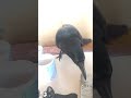 イタズラするのに咥えやすいものを探すカラスのハッピー カラス crow karasu かわいい まったり 日常 ほのぼの 鳥 ハシブトガラス イタズラ