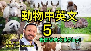 #看圖學英文系列5 動物英文 5 中英對照 看圖學中英文系列 learning English Chinese bilingual animals with pictures