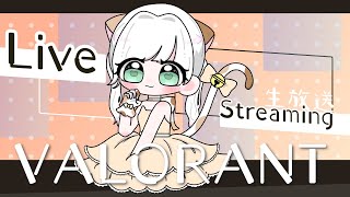 【#VALORANT】ソロコンペがんばる  #雑談 #新人VTuber ゲーム実況  202411102