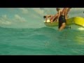 Corona Extra - Sunset Bar