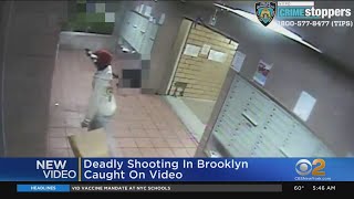 Deadly Shooting Caught On Video In Brooklyn