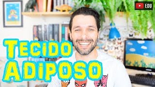 Tecido Adiposo - Histologia - Aula | Biologia com Samuel Cunha