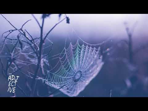 What is an adjective for spider?