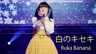 2024/12/14 FFK17 駁二動漫祭 Day1【Ruka Banana】02「白のキセキ」哥人原創曲(4K)