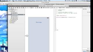 Xcode: Add An Image Programmatically