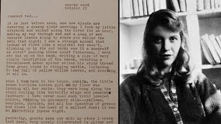Sylvia Plath’s Love Letters to Husband Up for Auction
